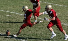 九游体育官方入口-一球定江山，楚阿梅尼抢七夜铸就传奇