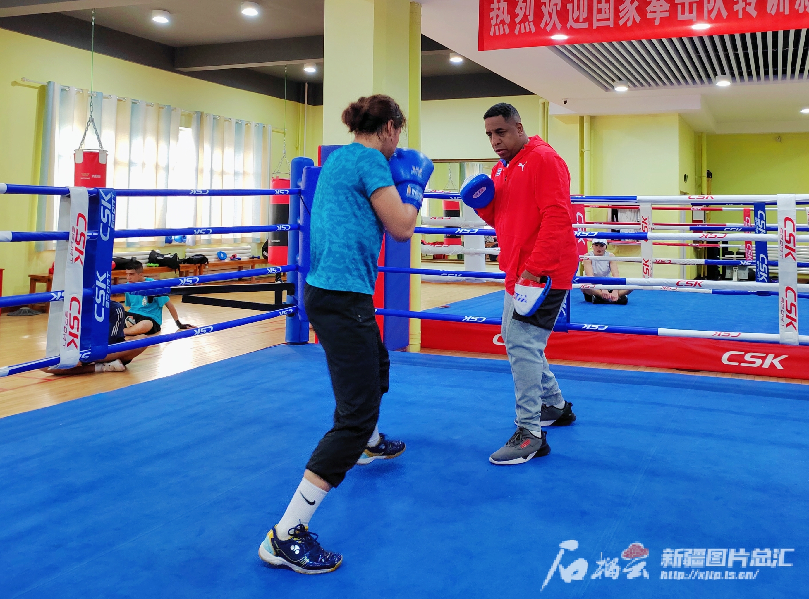 古巴选手在拳击比赛中展现出色拳法 古巴选手在拳击比赛中展现出色拳法